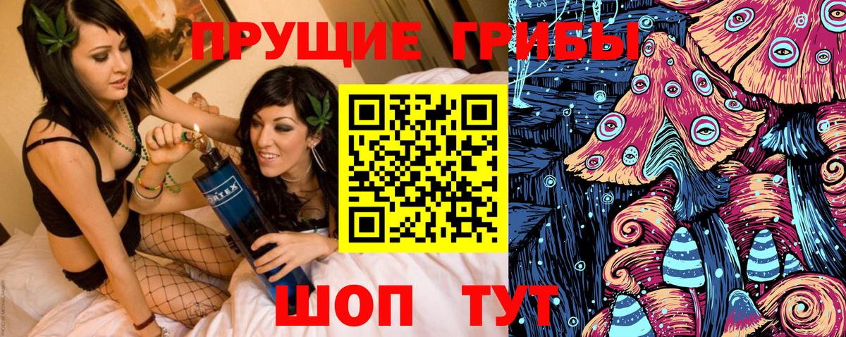 Псилоцибиновые грибы GOLDEN TEACHER  Вход с VPN  Клинцы 