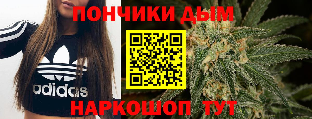 Канабис ГИДРОПОН  Вход с VPN  Бошки Шишки Amnesia  Клинцы  Каннабис тримм 